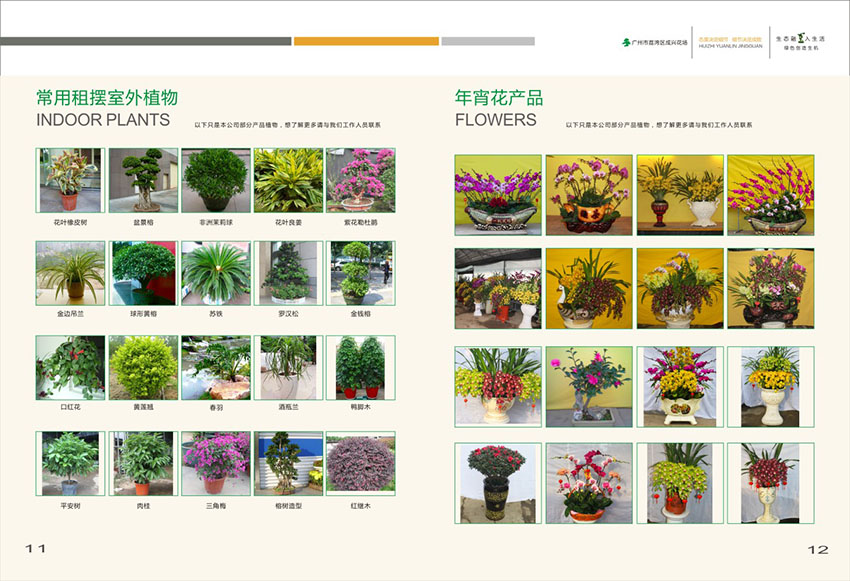 廣州花場(chǎng)苗木畫(huà)冊(cè)設(shè)計(jì),花場(chǎng)苗木畫(huà)冊(cè)設(shè)計(jì)公司