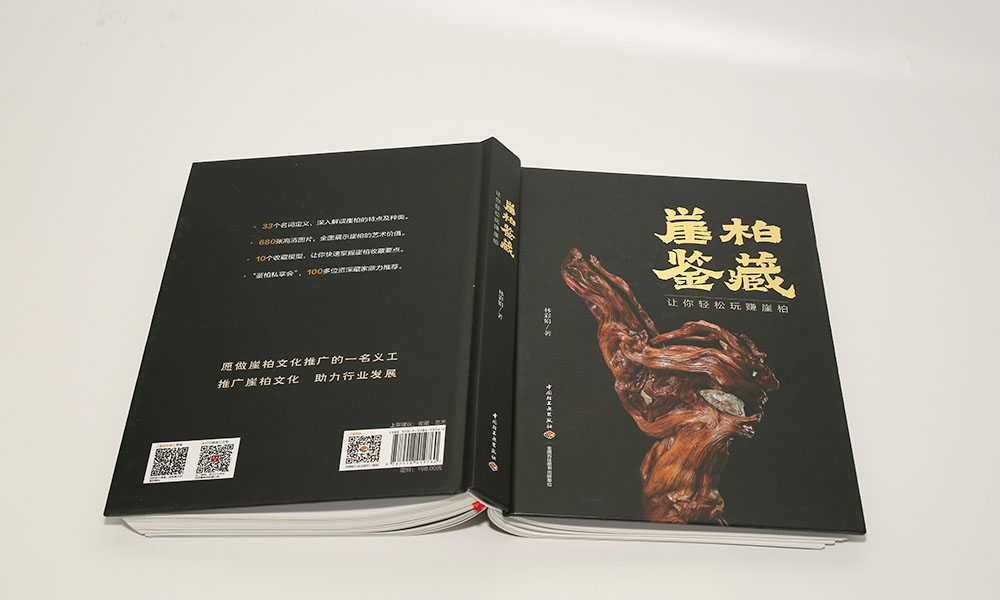 怎么學(xué)宣傳冊設(shè)計做多久？